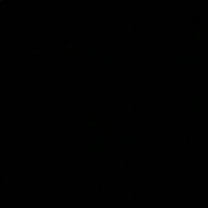 Meet your Posher, Zoey